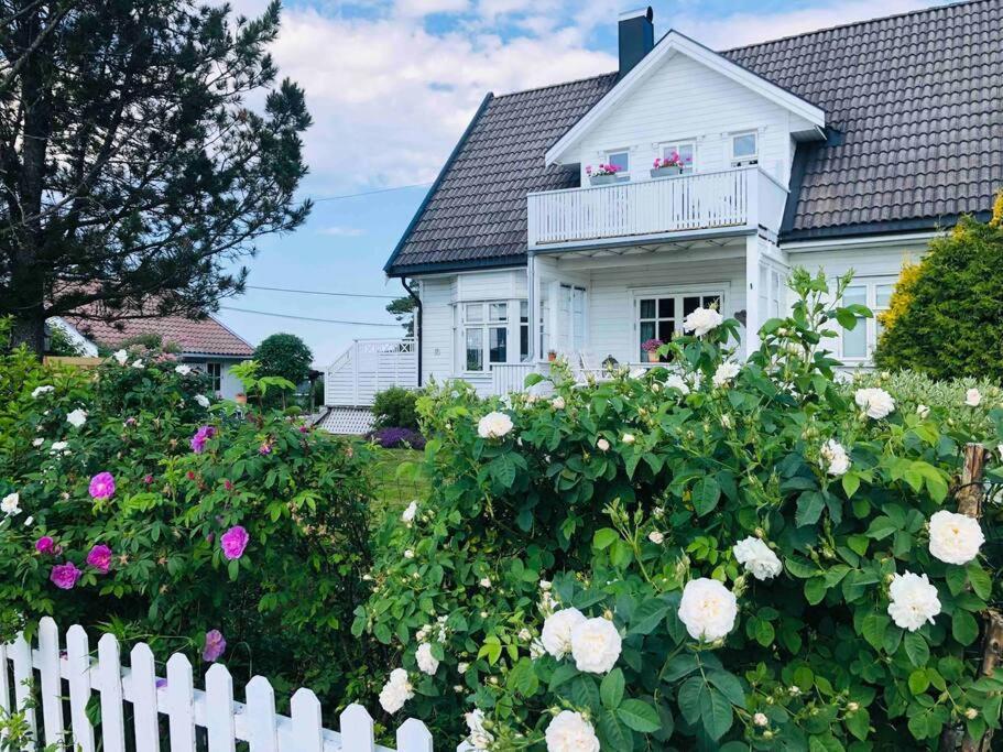 Lenes Hus Villa Halden Eksteriør billede